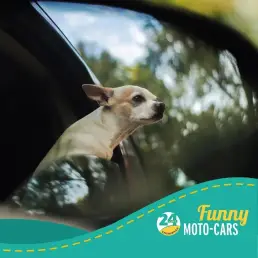 Δωρεάν ακύρωση της κράτησης έως και 48 ώρες πριν την ημερομηνία παραλαβής